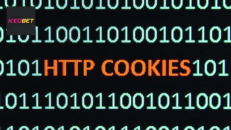 นโยบายความเป็นส่วนตัวของ Keobet - ความปลอดภัยของข้อมูลโดยสมบูรณ์ คุกกี้ถูกใช้โดยแพลตฟอร์มเพื่อปรับปรุงประสบการณ์ของผู้เล่น